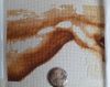 20260322_110504.thumb.jpg.4900a399a9bb1cb0b943ca0cb9f7dff7.jpg