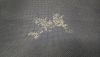 20260324_002854.thumb.jpg.aa903422bd0ef9fedefd7d5f0cdf0d68.jpg