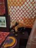 20260329_122531.thumb.jpg.bffe361e0122c1f9f0b6be31501971c7.jpg