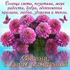 2026431743_.thumb.jpg.f5bd5ecf6584f0c408c49b7329ef57cf.jpg