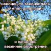 20808985.thumb.jpg.2bd0c26521ac1eb879a14d2d1c8761fe.jpg