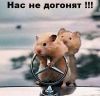 21788.thumb.jpg.2ae4d121992458d2be1ac0faba51826a.jpg