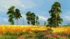 36665.thumb.jpg.27512199349cbf5f1476cc21c4bae49a.jpg