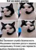 497017266_41.thumb.jpg.559a93633cb5cf102b05c8354dbe8da1.jpg
