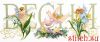 58141.thumb.jpg.2ddac6c72fc41f92a91c0b81fe83b2f5.jpg