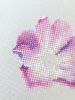 6.thumb.jpg.51e1b6bd6e3b6a28350eb8388edcf1fe.jpg