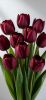 74bba9cb36811984e8f7de2fa5b60d4a.thumb.jpg.00aa26c53c293c02ef3556afbaedba0f.jpg