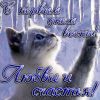 792182421_--------1--7246.thumb.jpg.e2e3db5bc541ad0862488f5ddb6bfde2.jpg