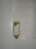 DSC00033.thumb.JPG.a28e8887f44c782a971ac0b4cdc9fea3.JPG