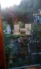IMG-20190702-WA0004.thumb.jpeg.378e63f0a781de45a47c09b9243a4c02.jpeg