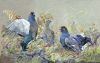 IMG-20250105-WA0001.thumb.jpg.369b1181217580fd30c9f11bec2c923c.jpg
