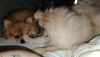 IMG-20250913-WA0001.thumb.jpg.7cde9011e29ff514b8f71a8f2a7a933f.jpg
