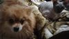 IMG-20251112-WA0006.thumb.jpg.1a73d5fc943ffe376e10293bfd2b8a35.jpg