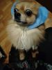 IMG-20251124-WA0003.thumb.jpg.fb17f8139f3dad5add91b43c6ce8ddcd.jpg