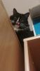 IMG-20251205-WA0003.thumb.jpg.bfa0c1374245f38cb9c8c7f19e637de6.jpg