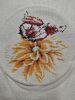 IMG20260212013536.thumb.jpg.8751cefc379f86d73de1de5a75ac34df.jpg