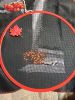 IMG20260228220924.thumb.jpg.9cc9aae4b9ca5e5cdf82f0222e2aa7f3.jpg