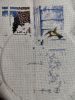 IMG20260323234215.thumb.jpg.bef23bef9e32314c6a7e59c451f31c6a.jpg