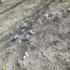 IMG20260329123254.thumb.jpg.d8908aa2d92c956fa62d1b4f6e3d3acd.jpg