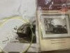 IMG_0097.thumb.jpg.6456ec286e1407a484a42f446ac2dbf1.jpg?1772472111833