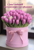 IMG_1082.thumb.png.f9b9b7894ae999898bf89dd5d88a5d8d.png