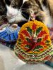 IMG_1669.thumb.jpeg.834823e83f5ce8d5581e609b9a1e88f0.jpeg