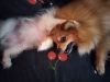 IMG_20250809_181911.thumb.jpg.3c36e90e967ddfea00f761e00308b388.jpg