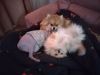 IMG_20251115_121125.thumb.jpg.c8f305e6a09016ae4e60fad2b100197a.jpg