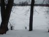 IMG_20260304_171134.thumb.jpg.51042862117ee5643a8a7e1291fed7fb.jpg