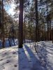 IMG_20260305_151822.thumb.jpg.774f068e8beee45ef6aa32ad590d7624.jpg