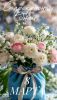 IMG_20260308_134842_725.thumb.jpg.46c9b3748fb8d946a90829e3dd063a34.jpg
