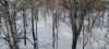IMG_20260308_173053.thumb.jpg.2de8fcd39978f40cf04a13a54e07ac7a.jpg