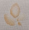 IMG_20260310_075252.thumb.jpg.0bd8294a348a082ed1afb017edfdc9a8.jpg