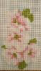 IMG_20260310_204142_edit_2339698600252841.thumb.jpg.f509cfda0f1bb99e8fca3332a58705ef.jpg