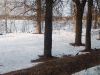 IMG_20260312_172758.thumb.jpg.6bbf76f35626ccce261da989c6fc43b6.jpg