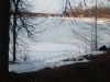 IMG_20260312_173257.thumb.jpg.1b0b78dc498346fc76f138c3744dbd4a.jpg