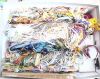 IMG_20260314_123523.thumb.jpg.c19a3b86174348e3e6f215561732fcec.jpg