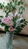 IMG_20260314_131703.thumb.jpg.01ede4fdb0949f0caf50fa3dfd062162.jpg