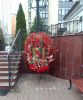 IMG_20260327_135513.thumb.jpg.0eb9ed6ba7e27be75a24ecc1fc8ee0bc.jpg