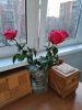 IMG_20260327_184440.thumb.jpg.ace2f7a99db4a4c434ef57de190f983e.jpg