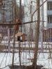 IMG_20260327_192622_013.thumb.jpg.b8ee0918a3b44e20e579e2244ca8c63a.jpg