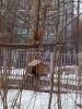 IMG_20260327_192622_392.thumb.jpg.d8d03ff832e05f3f2ee9deeee81a59d8.jpg