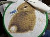 IMG_2196.jpeg
