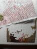 IMG_3219.jpeg