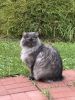 IMG_4618.jpeg