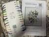 IMG_5709.jpeg