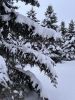 IMG_6519.jpeg