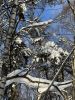 IMG_6716.jpeg