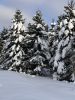 IMG_6839.jpeg