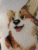 IMG_7089.thumb.jpeg.676a717a029884e933a36a05630a295a.jpeg